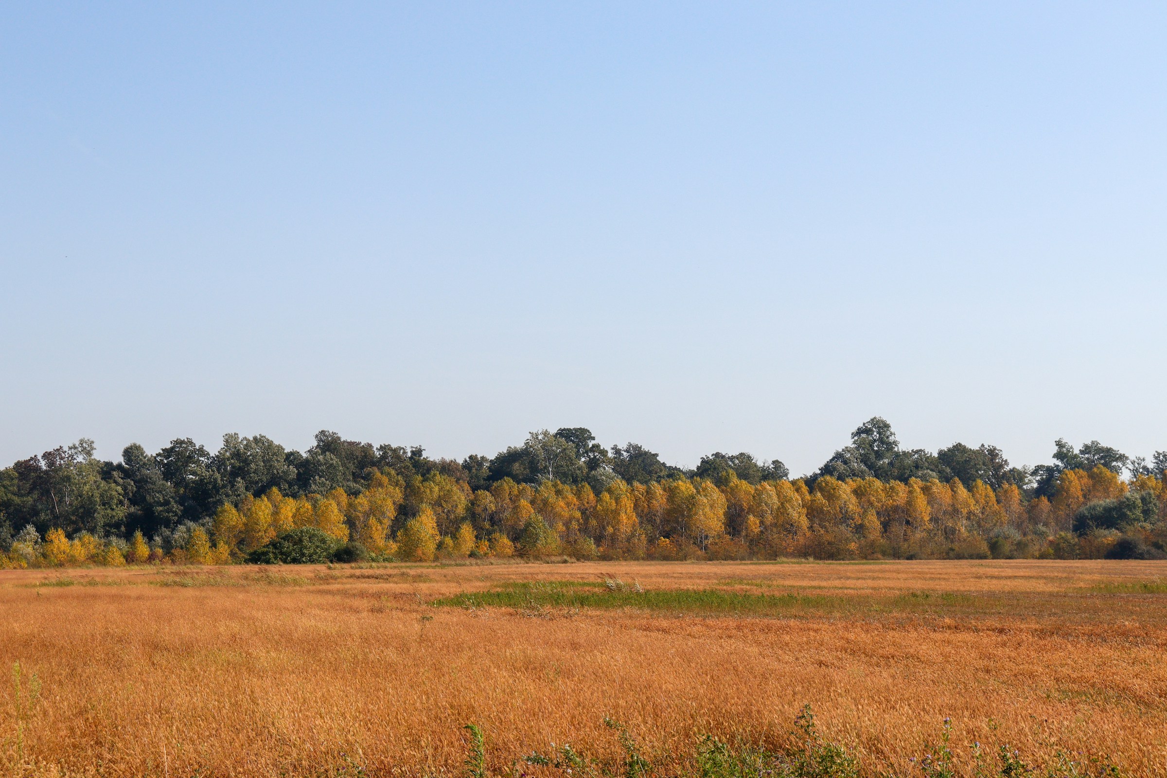 How to Choose the Perfect Lot for Your Custom Home