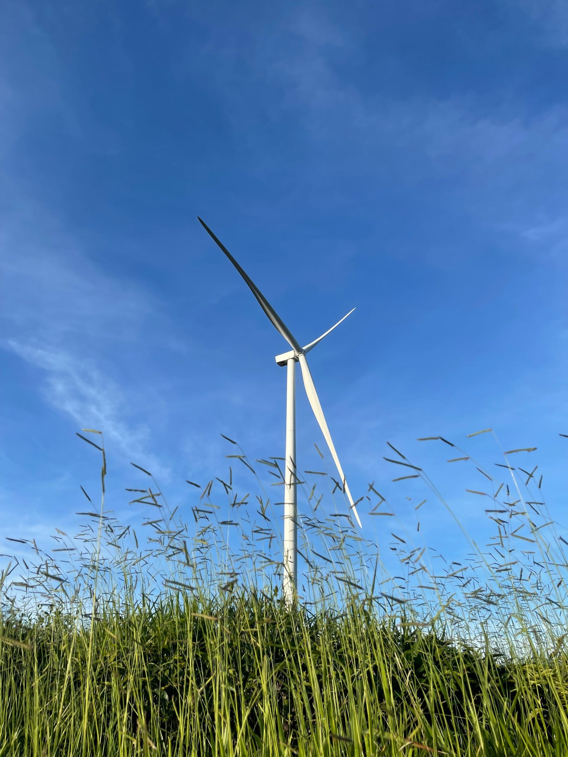 The Benefits of Green Building in Custom Homes