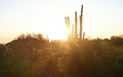 How to Design a Home for Extreme Heat