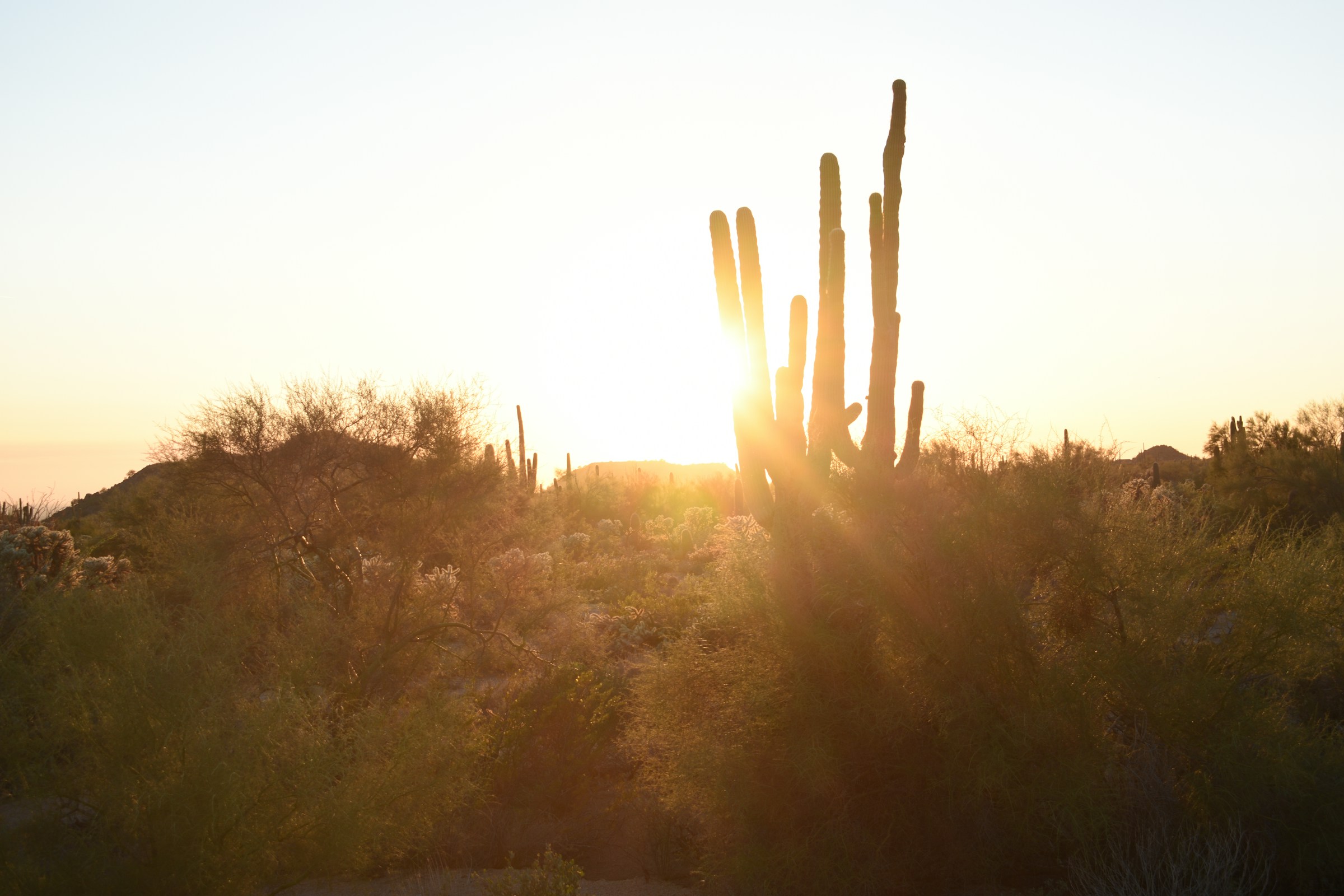 How to Design a Home for Extreme Heat